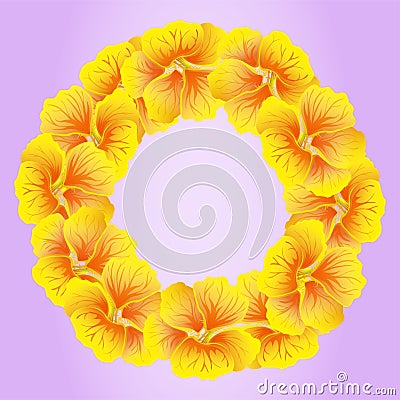 Bright Nasturtium wreath. Wild Yellow flowers. BeautifulÂ Floral circle isolated on pink background. Vector Vector Illustration